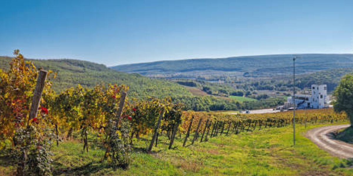A-Perfect-Weekend-Getaway-Exploring-Moldovas-Countryside