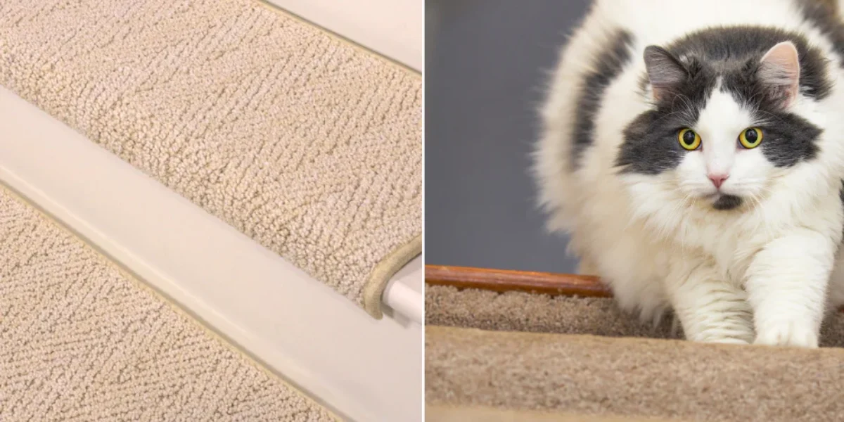 B0638_stair_protectors_for_cats