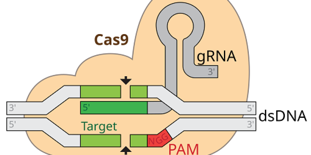 CAS9-Technology-Market