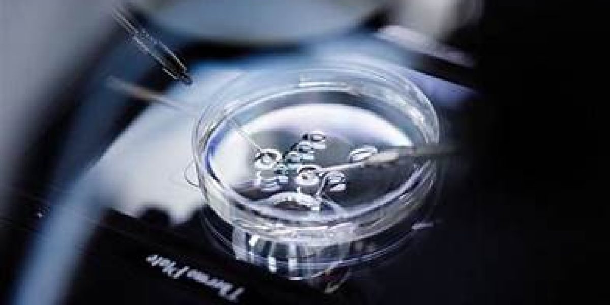 China-In-Vitro-Fertilization-Market