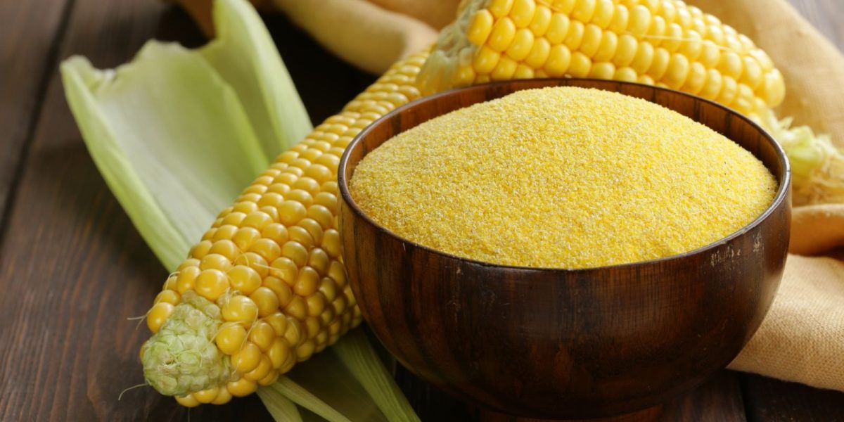 Corn-Gluten-Meal-Manufacturing-Plant