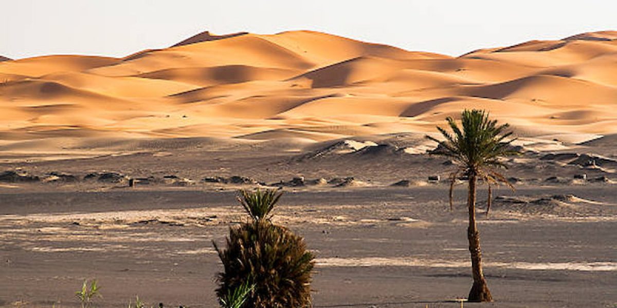 Desert-Experience-in-the-Sahara-morocco-1