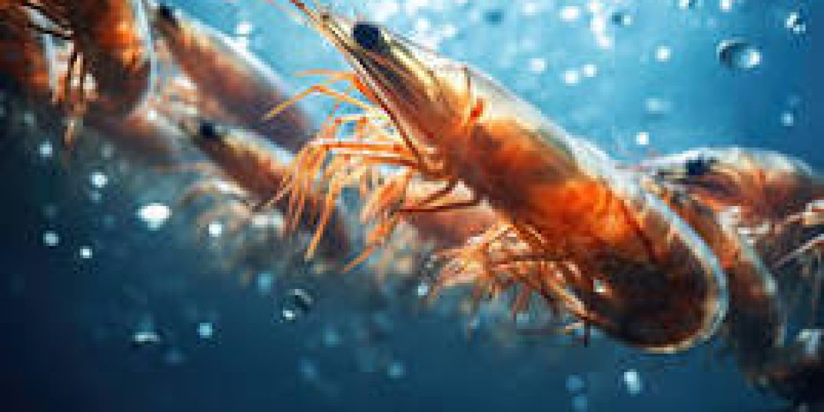 Global-Shrimp-Market