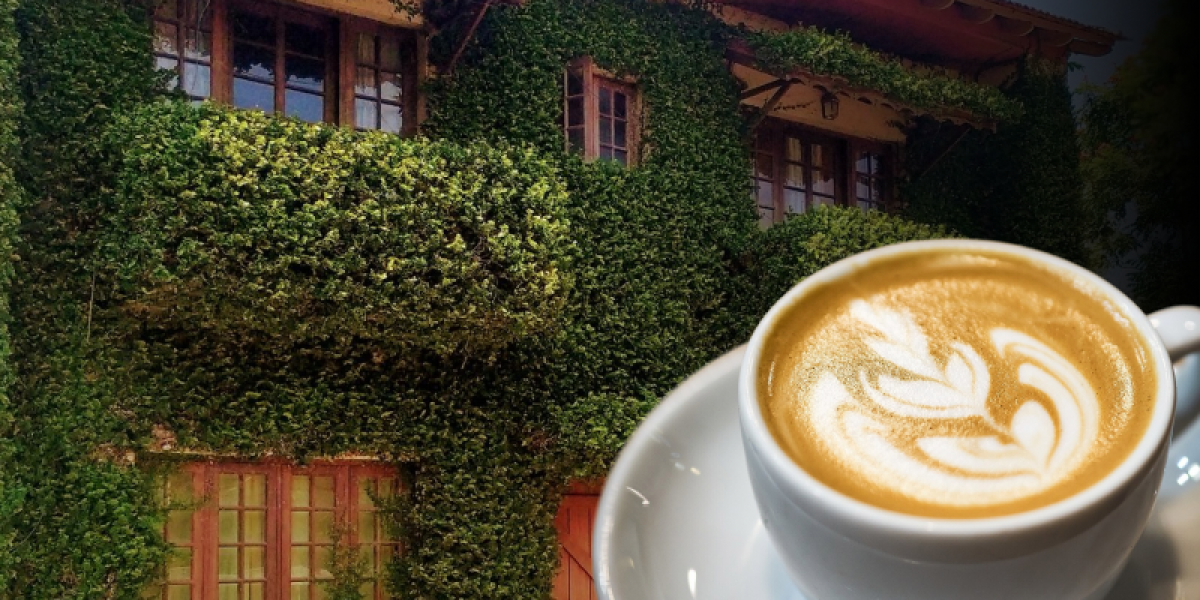 Kochis-Growing-Coffee-Scene