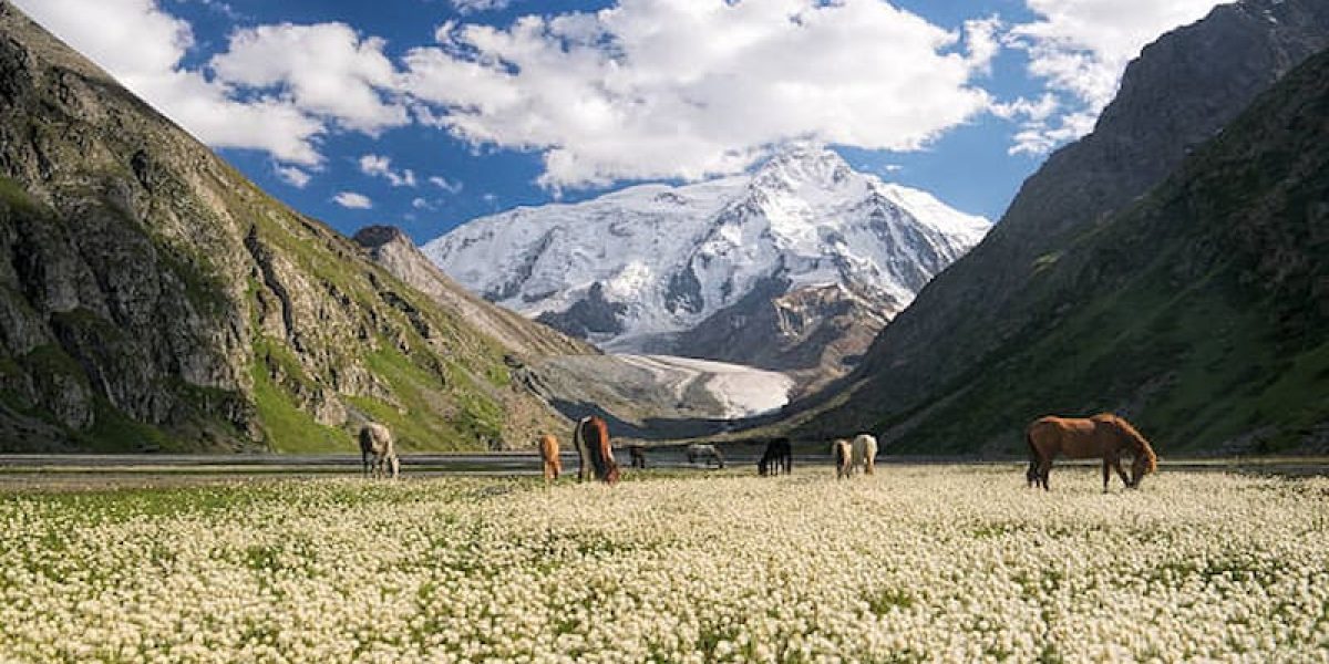 Kyrgystan-tour-package-from-India-1