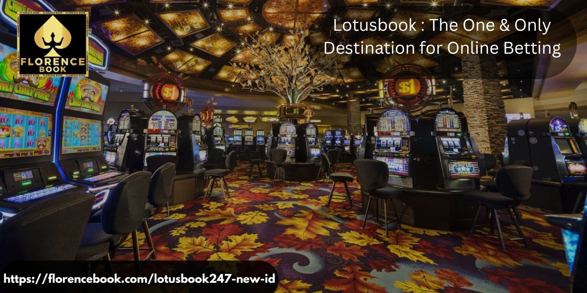Lotusbook-The-One-Only-Destination-for-Online-Betting