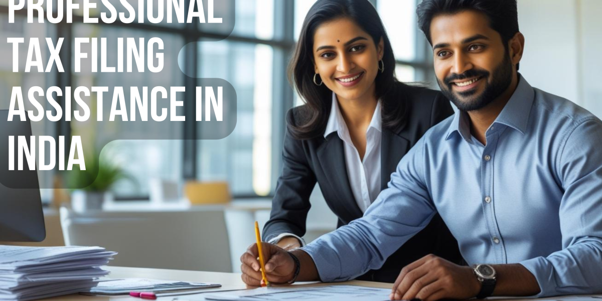 Professional-Tax-Filing-Assistance-in-India