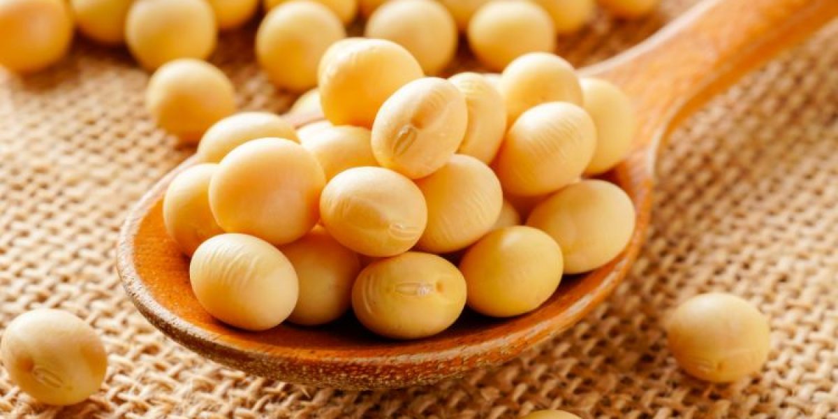 Soybean-Market