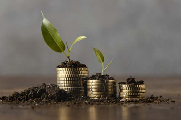 What-Are-The-Different-Calculators-in-The-Best-Mutual-Fund-Software-in-India
