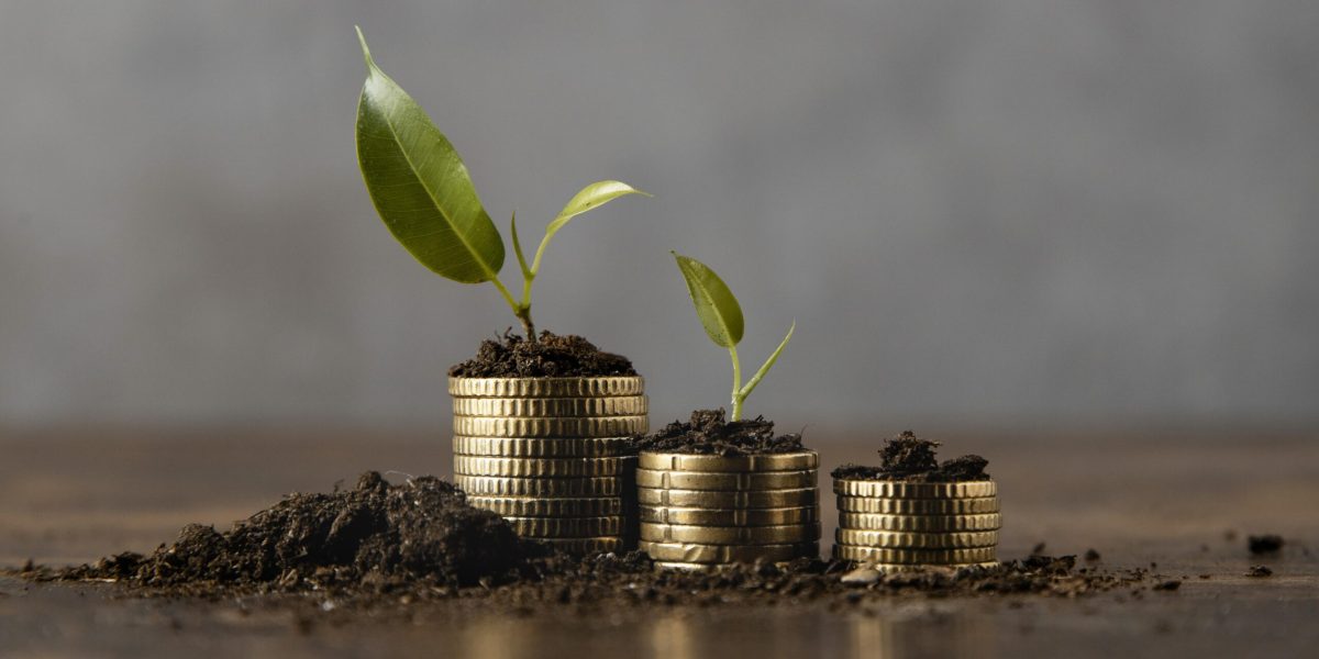 What-Are-The-Different-Calculators-in-The-Best-Mutual-Fund-Software-in-India