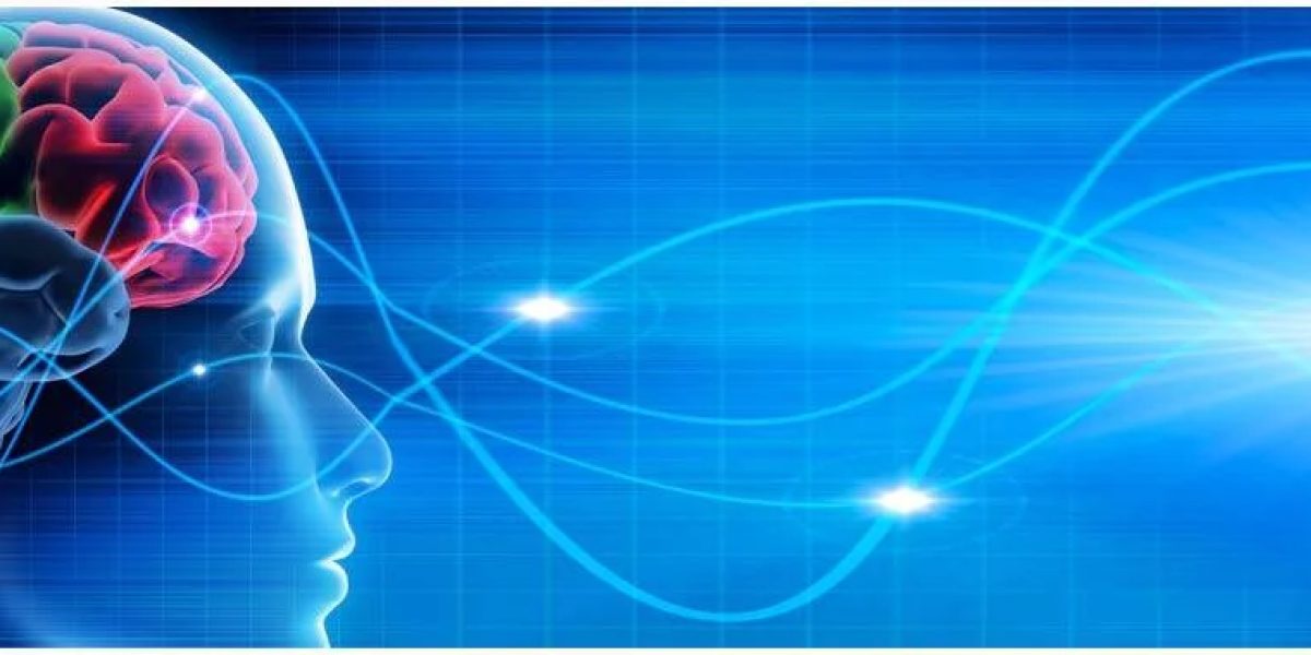 brain-banner