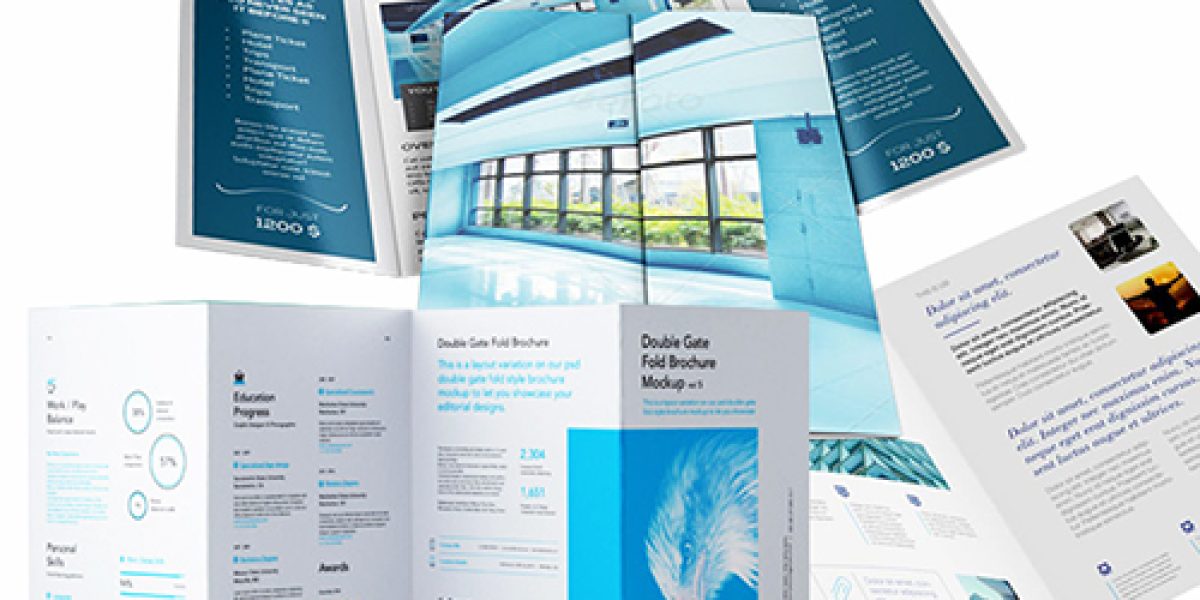 brochure.elp_