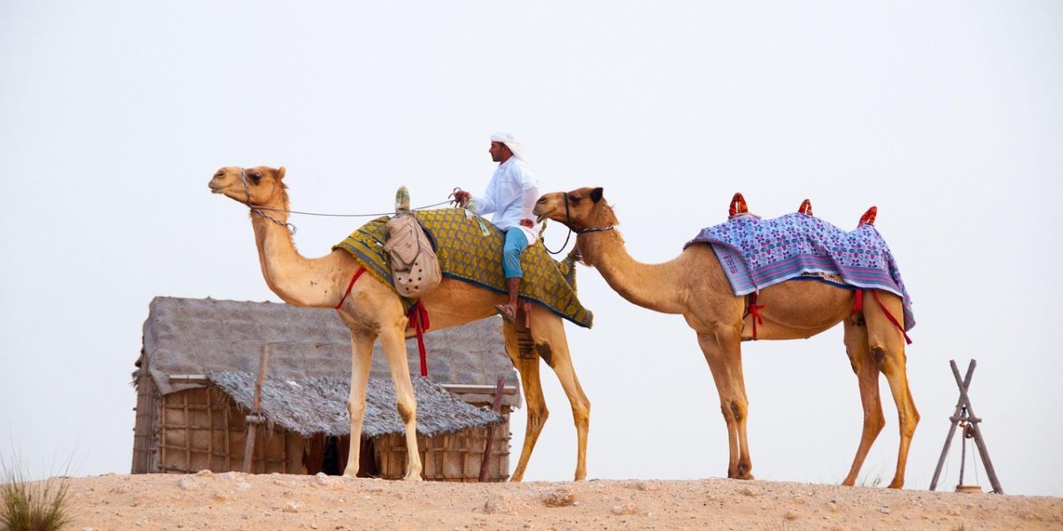 desert-639297_1280
