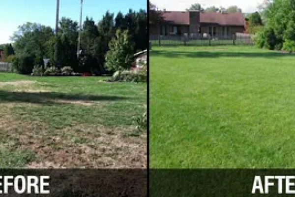 lawn-mowing-service-atlanta