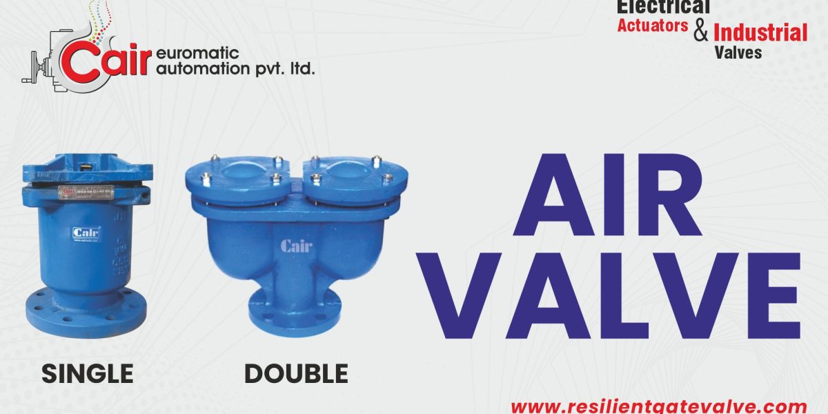 single-double-air-valve